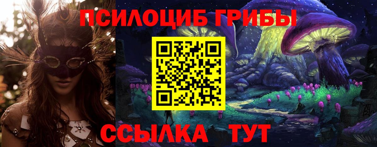 Галлюциногенные грибы Cubensis  Псилоцибиновые грибы GOLDEN TEACHER  Вход с VPN  Электрогорск 